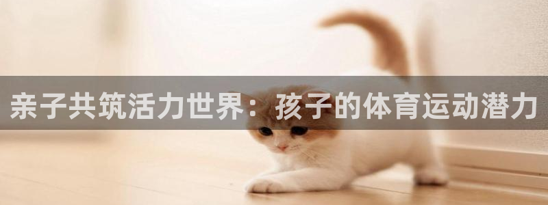 杏鑫官网入口