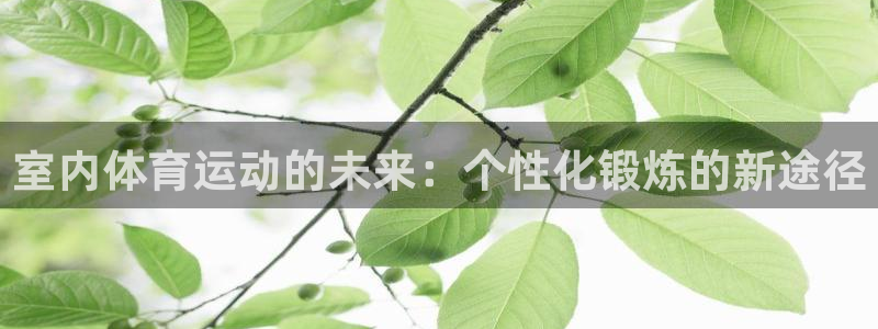杏鑫3平台注册