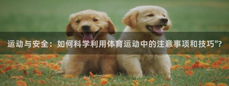 杏鑫体育用品
