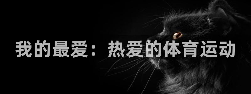 杏鑫体育凯捷平台主管