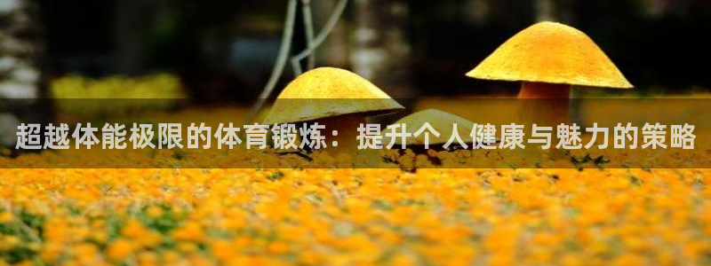 杏鑫集团官网