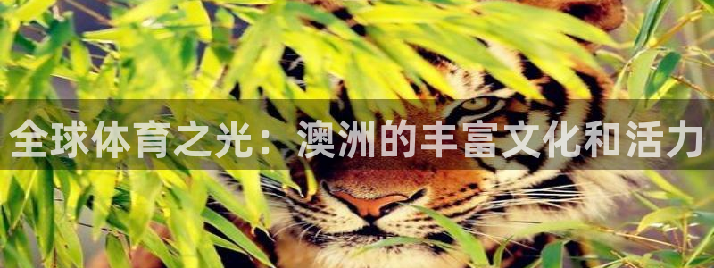 杏鑫体育合法嘛