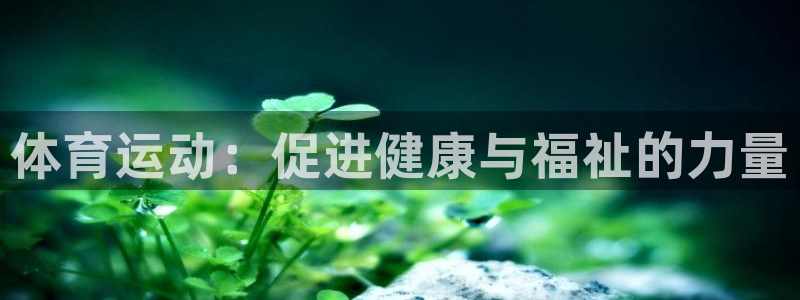 杏鑫集团官网