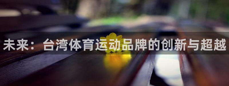 上海杏鑫汽车电子有限公司