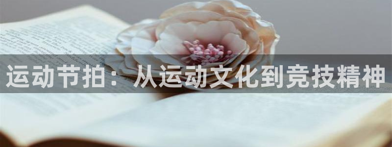 杏鑫体育免费注册入口