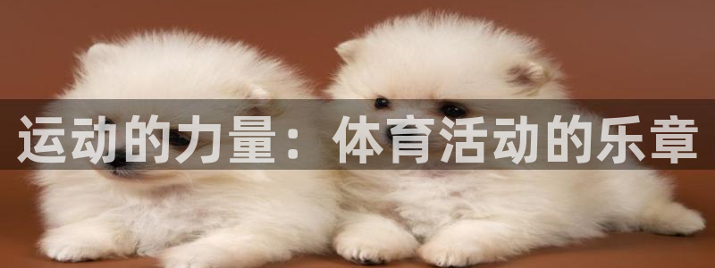 杏鑫代理注册官网入口