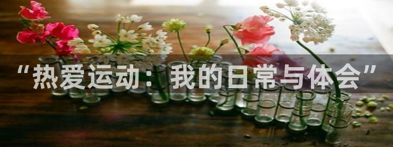 杏鑫体育代理