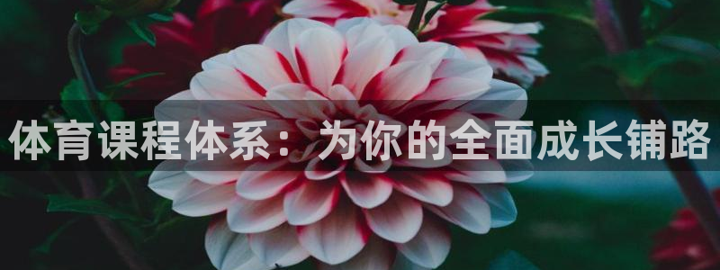 杏鑫官网注册