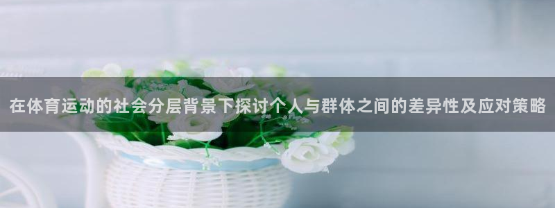 杏鑫体育注册代理