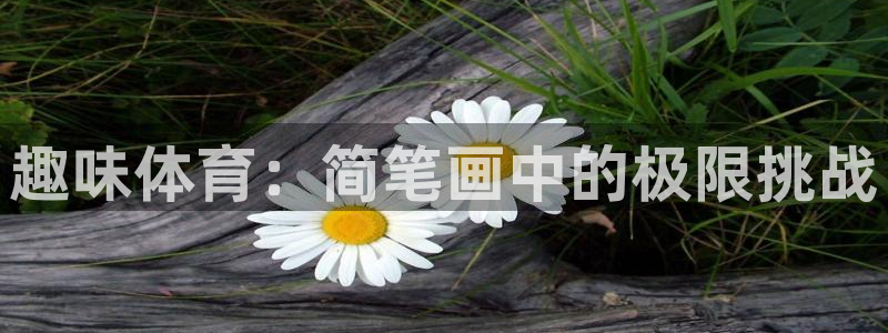 佛山市南海杏鑫机电仪器有限公司