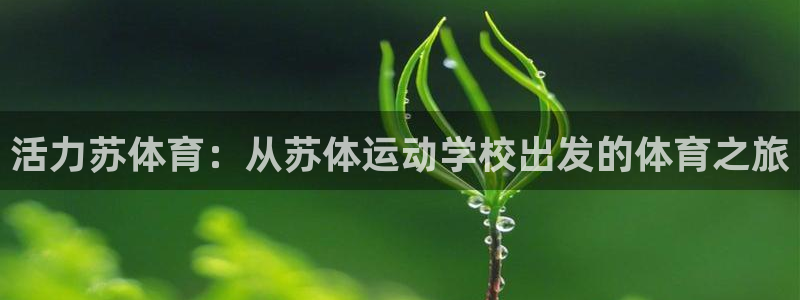 杏鑫体育注册