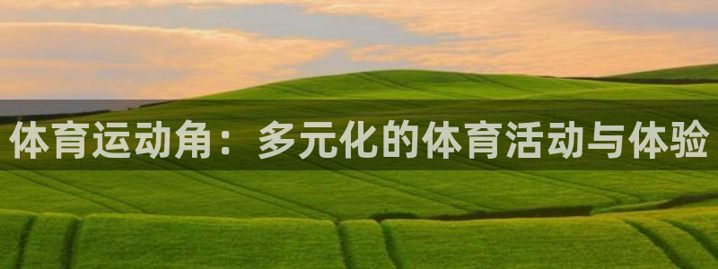 德国杏鑫集团