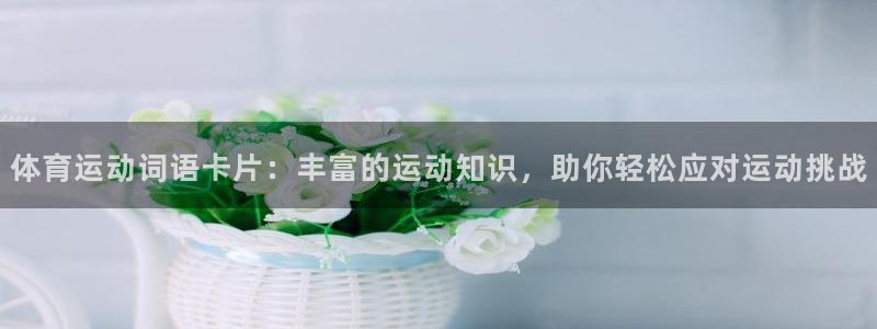 杏鑫体育2官网入口