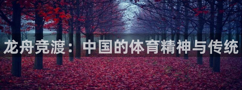 佛山市南海杏鑫机电仪器有限公司