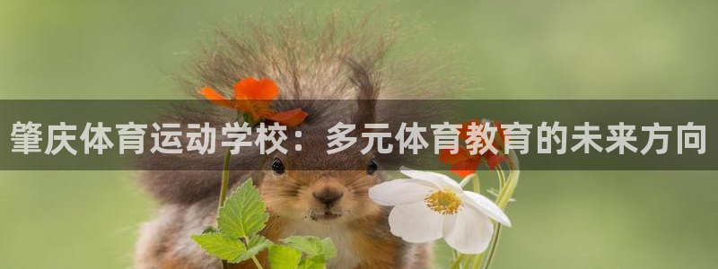 杏鑫f凯捷平台在线注册