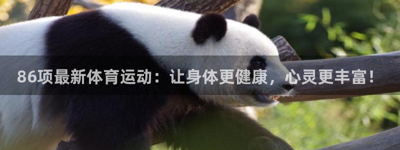 杏鑫体育凯捷平台主管