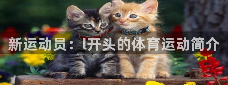 杏鑫集团总部