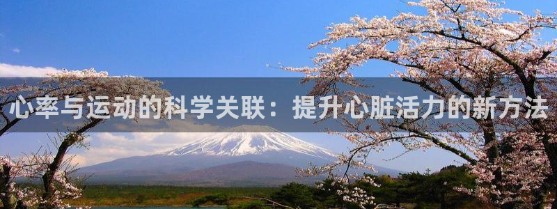 杏鑫体育凯捷代理注册