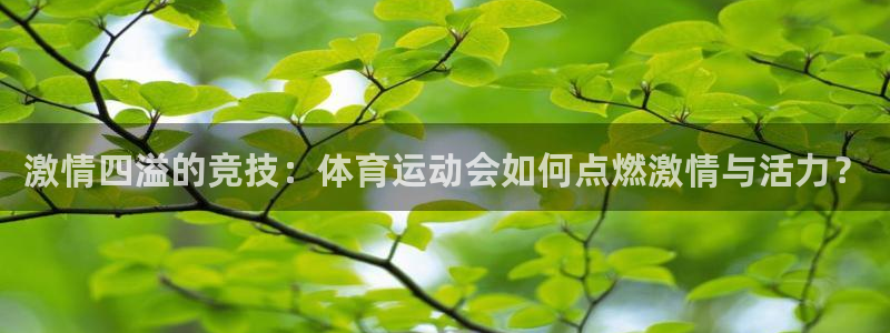杏鑫体育在线注册