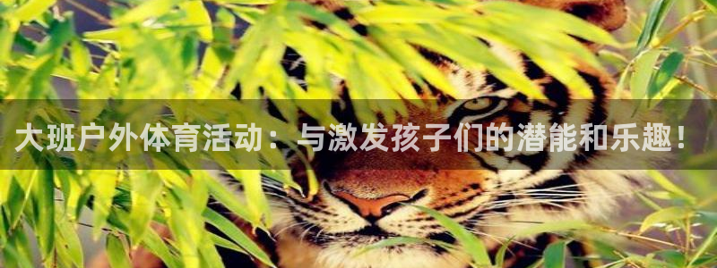 杏鑫平台开户链接