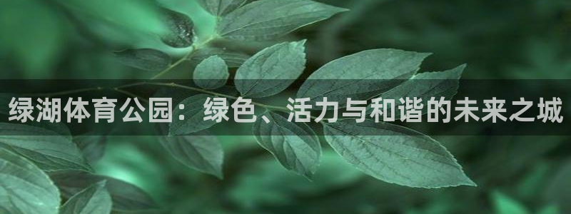 杏鑫体育平台注册