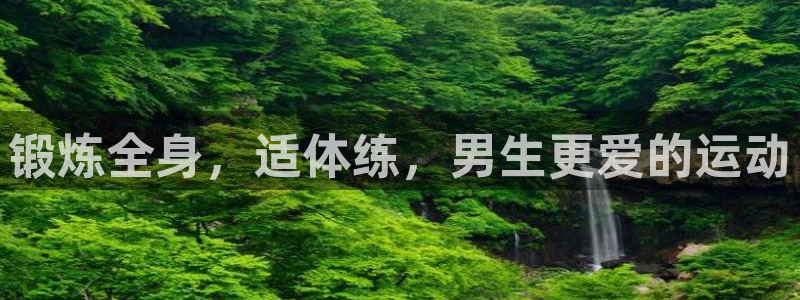 杏鑫体育1招商
