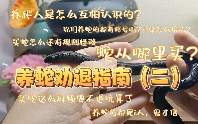 玩蛇TV最新视频更新，你想看的都在这里！