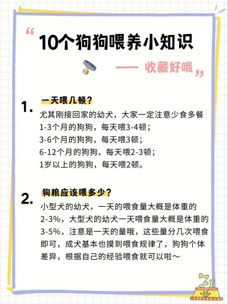 如何正确给狗狗喂骨头：安全喂食小攻略