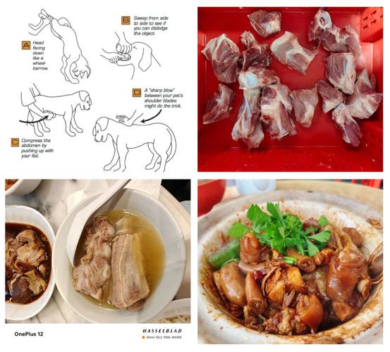 如何正确给狗狗喂骨头：安全喂食小攻略